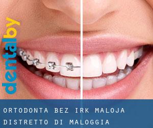 Ortodonta bez irk Maloja / Distretto di Maloggia