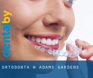 Ortodonta w Adams Gardens