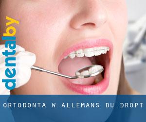 Ortodonta w Allemans-du-Dropt