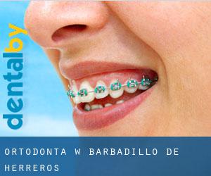 Ortodonta w Barbadillo de Herreros