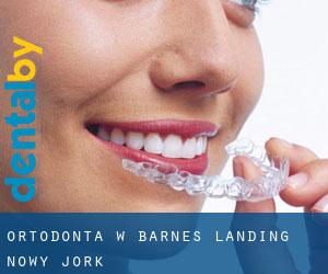 Ortodonta w Barnes Landing (Nowy Jork)