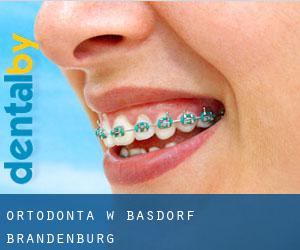 Ortodonta w Basdorf (Brandenburg)