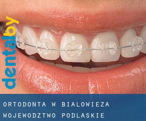 Ortodonta w Białowieża (Województwo podlaskie)