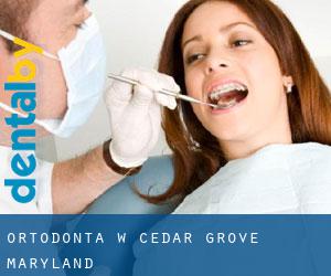 Ortodonta w Cedar Grove (Maryland)