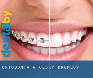 Ortodonta w Ceský Krumlov