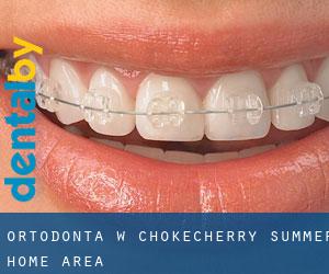 Ortodonta w Chokecherry Summer Home Area