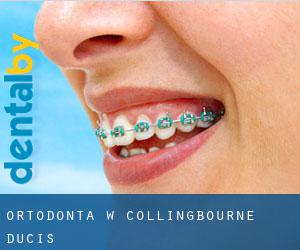 Ortodonta w Collingbourne Ducis