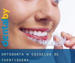 Ortodonta w Cozuelos de Fuentidueña