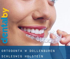 Ortodonta w Dollenburen (Schleswig-Holstein)