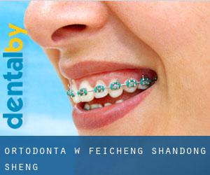 Ortodonta w Feicheng (Shandong Sheng)