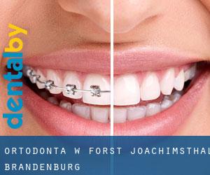 Ortodonta w Forst Joachimsthal (Brandenburg)