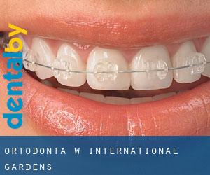 Ortodonta w International Gardens