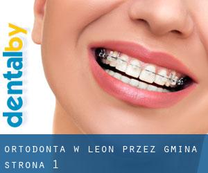 Ortodonta w Leon przez gmina - strona 1