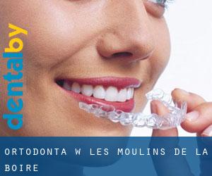 Ortodonta w Les Moulins de la Boire