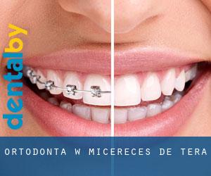 Ortodonta w Micereces de Tera