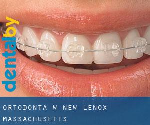 Ortodonta w New Lenox (Massachusetts)