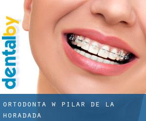 Ortodonta w Pilar de la Horadada