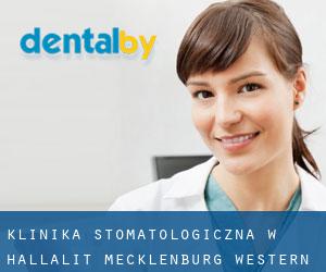 Klinika stomatologiczna w Hallalit (Mecklenburg-Western Pomerania)