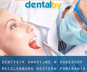 Dentysta awaryjne w Agneshof (Mecklenburg-Western Pomerania)