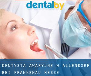 Dentysta awaryjne w Allendorf bei Frankenau (Hesse)
