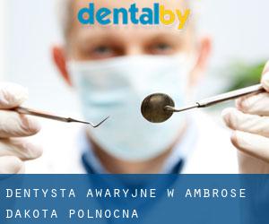 Dentysta awaryjne w Ambrose (Dakota Północna)