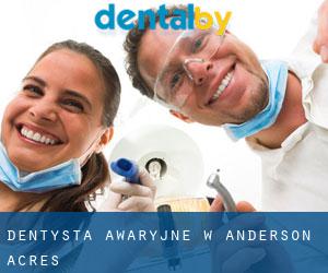 Dentysta awaryjne w Anderson Acres