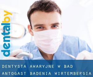 Dentysta awaryjne w Bad Antogast (Badenia-Wirtembergia)