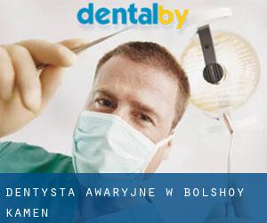 Dentysta awaryjne w Bol'shoy Kamen'