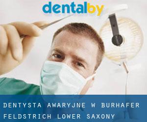 Dentysta awaryjne w Burhafer Feldstrich (Lower Saxony)