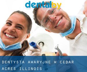 Dentysta awaryjne w Cedar Acres (Illinois)
