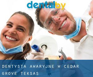 Dentysta awaryjne w Cedar Grove (Teksas)