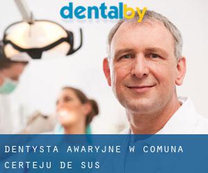 Dentysta awaryjne w Comuna Certeju de Sus