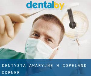 Dentysta awaryjne w Copeland Corner