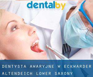 Dentysta awaryjne w Eckwarder Altendeich (Lower Saxony)