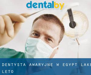 Dentysta awaryjne w Egypt Lake-Leto