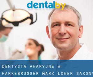 Dentysta awaryjne w Harkebrügger Mark (Lower Saxony)