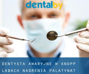 Dentysta awaryjne w Knopp-Labach (Nadrenia-Palatynat)