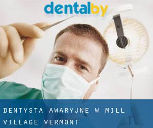 Dentysta awaryjne w Mill Village (Vermont)