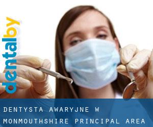 Dentysta awaryjne w Monmouthshire principal area