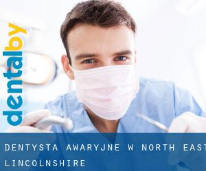 Dentysta awaryjne w North East Lincolnshire