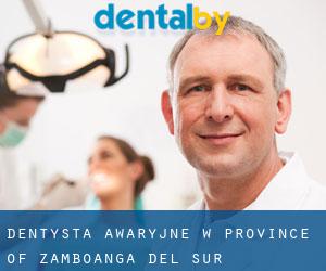 Dentysta awaryjne w Province of Zamboanga del Sur
