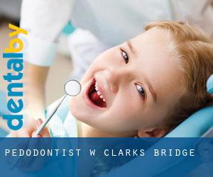 Pedodontist w Clarks Bridge