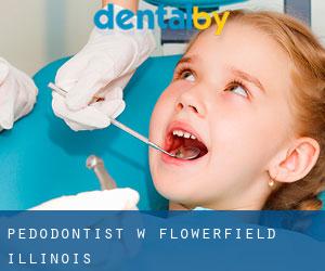 Pedodontist w Flowerfield (Illinois)