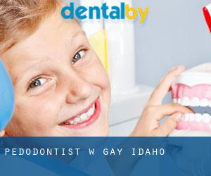 Pedodontist w Gay (Idaho)