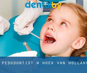 Pedodontist w Hoek van Holland