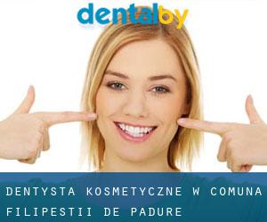 Dentysta kosmetyczne w Comuna Filipeştii de Pădure