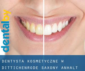 Dentysta kosmetyczne w Dittichenrode (Saxony-Anhalt)