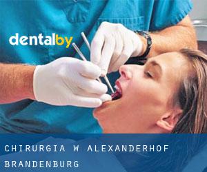 Chirurgia w Alexanderhof (Brandenburg)