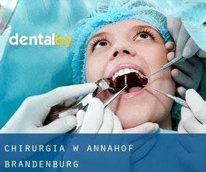 Chirurgia w Annahof (Brandenburg)