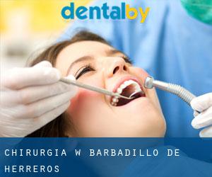 Chirurgia w Barbadillo de Herreros